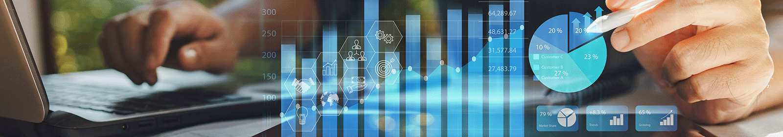 Treasury Management Cash Forecasting